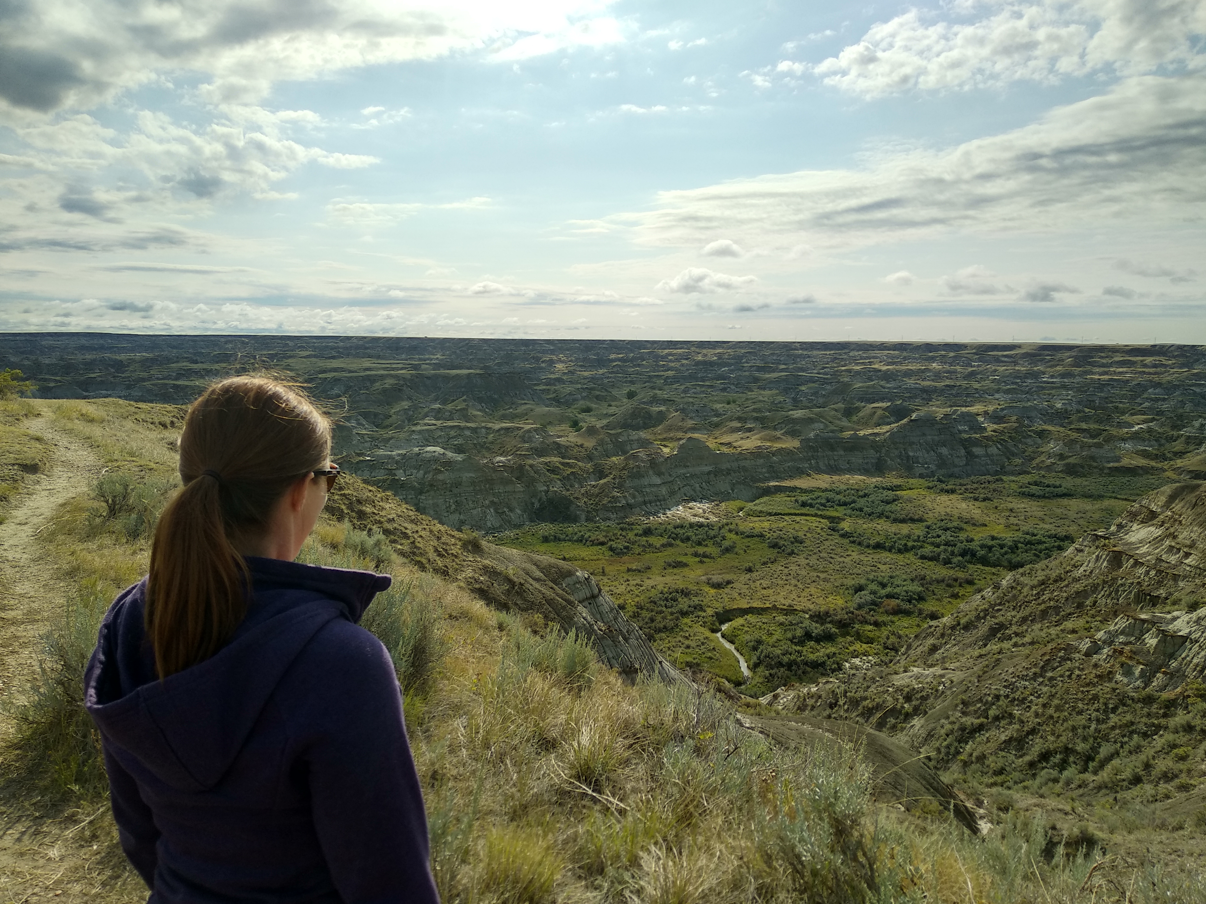 Looking out over Dinosaur Provincial Park